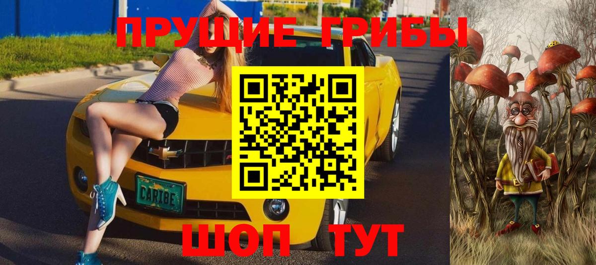 Аргун  Галлюциногенные грибы MAGIC MUSHROOMS  цены наркотик  Вход с VPN 