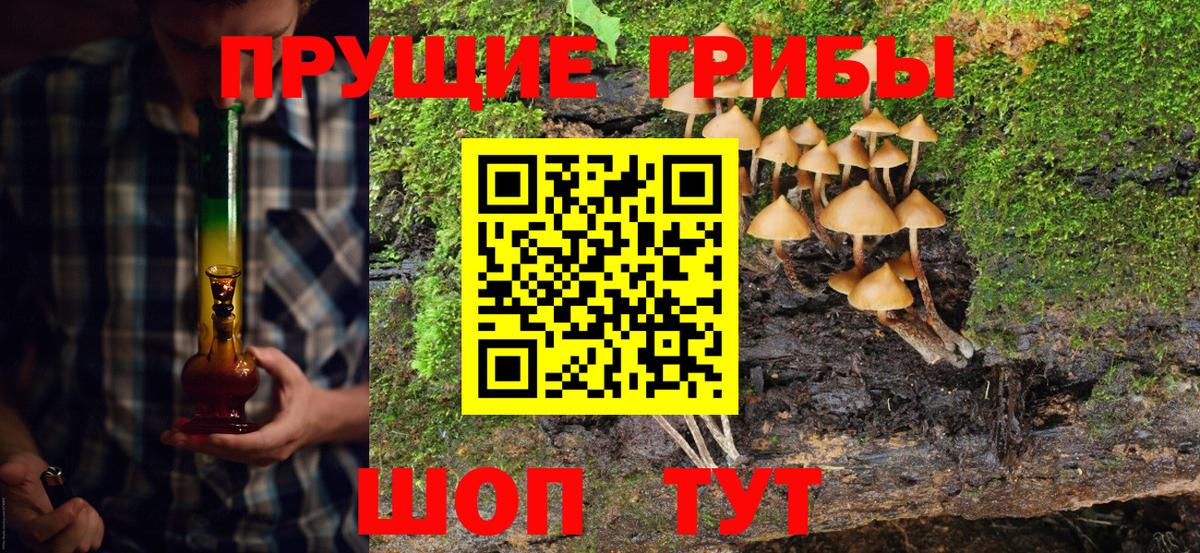 Псилоцибиновые грибы MAGIC MUSHROOMS Аргун
